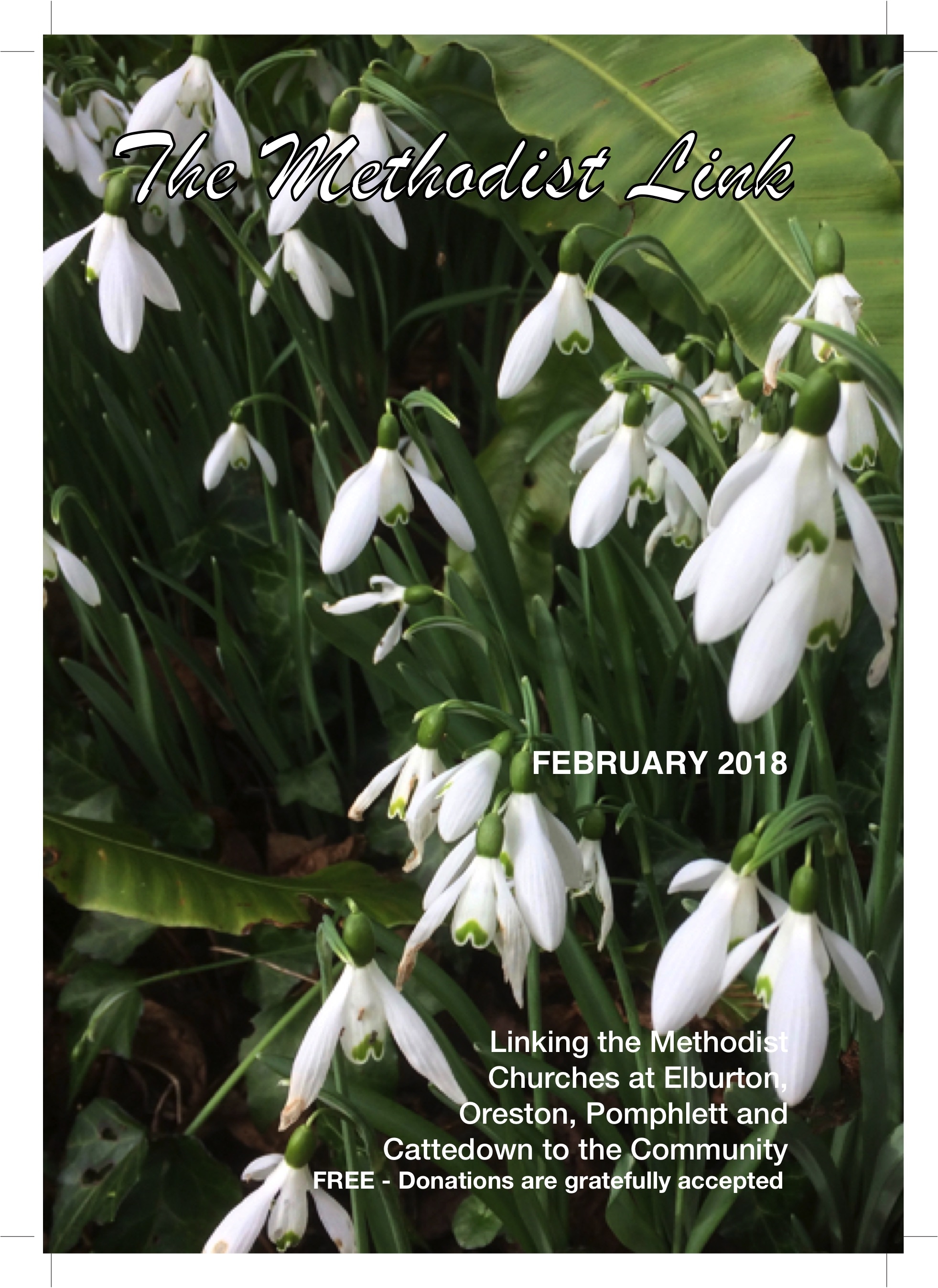 The Link - FEBRUARY2018